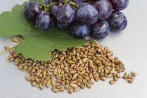 Grape seed Extract