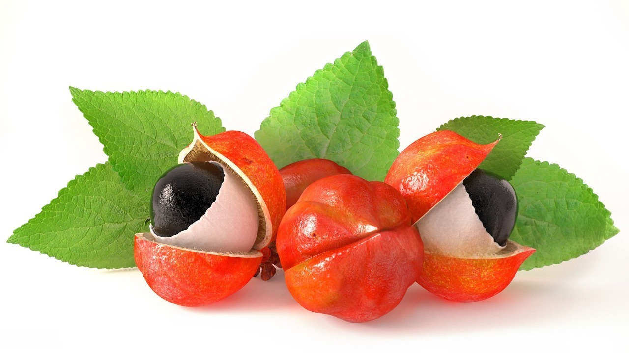 Guarana Dry Extract