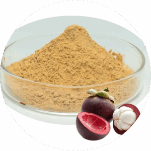 mangosteen extract