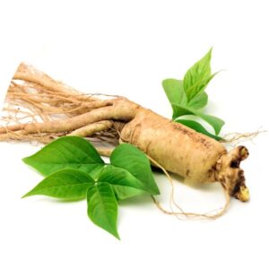 Ginseng Dry Extract